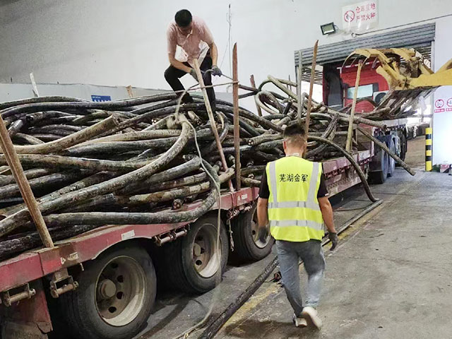 |ĭh(hun)(bio)(zhn)cҎ(gu)Ҫ